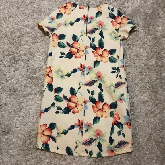 AX Paris Cream Floral Shift Dress (fits like sz 4) - Picture 3 of 8